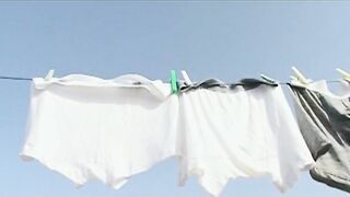 Princes pervers - Nomades 4