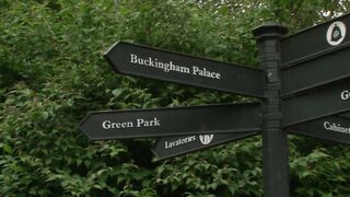 Jonathan Agassi, Harry Louis & Rio Silver