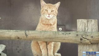 Showing Off In Santiago